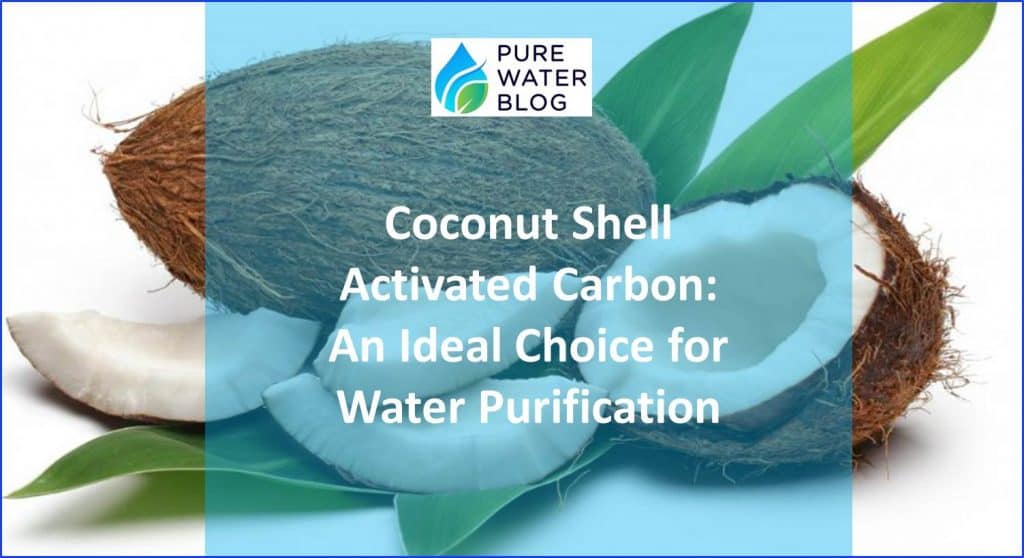 Coconut Shell Carbon An Ideal Choice for Water Purification Water