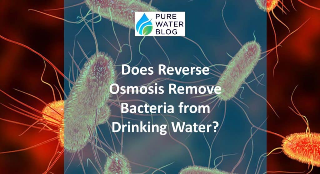 Does Reverse Osmosis Remove Bacteria from Drinking Water? Water Treatment