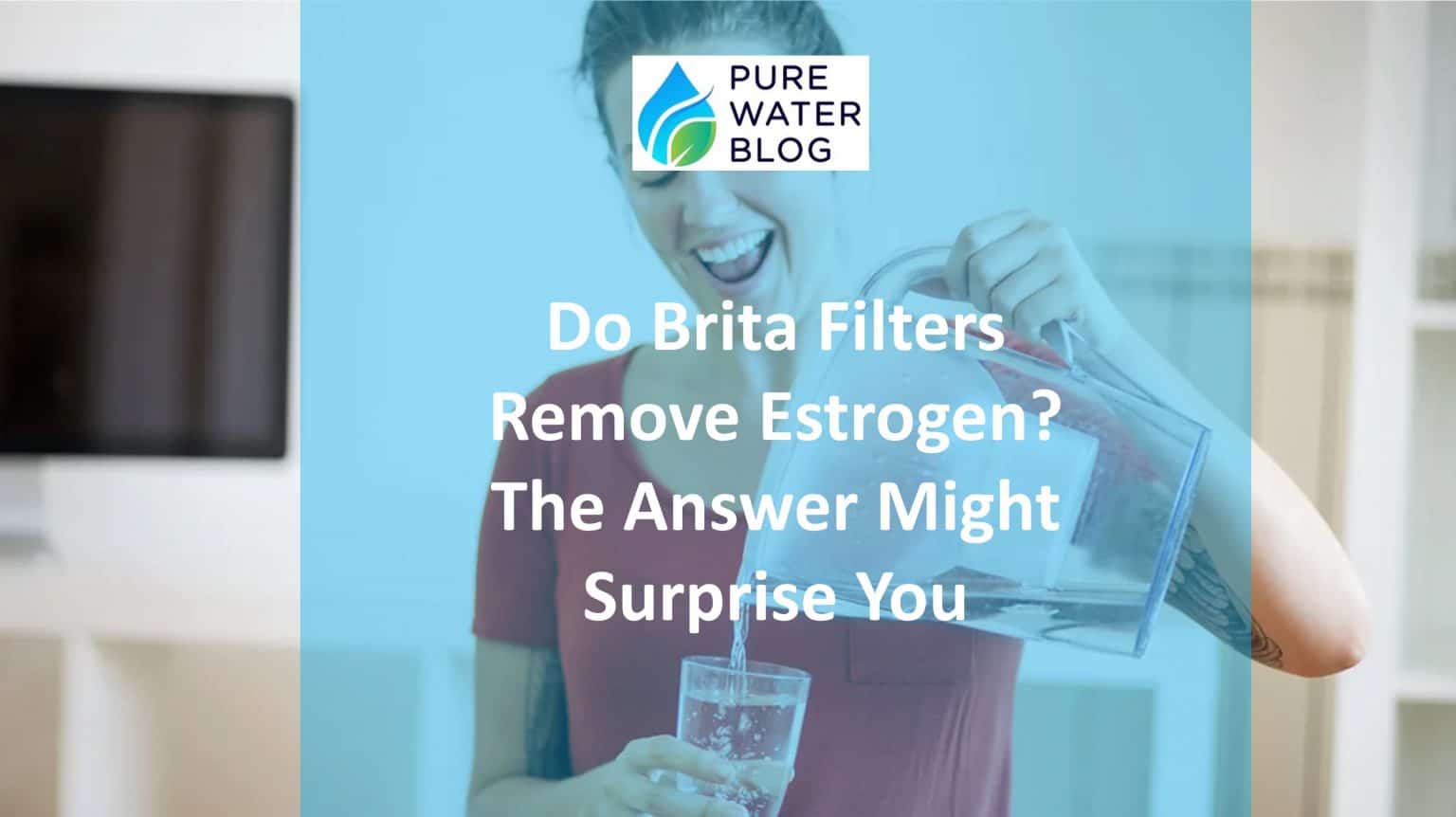 Do Brita Filters Remove Estrogen? The Answer Might Surprise You Water