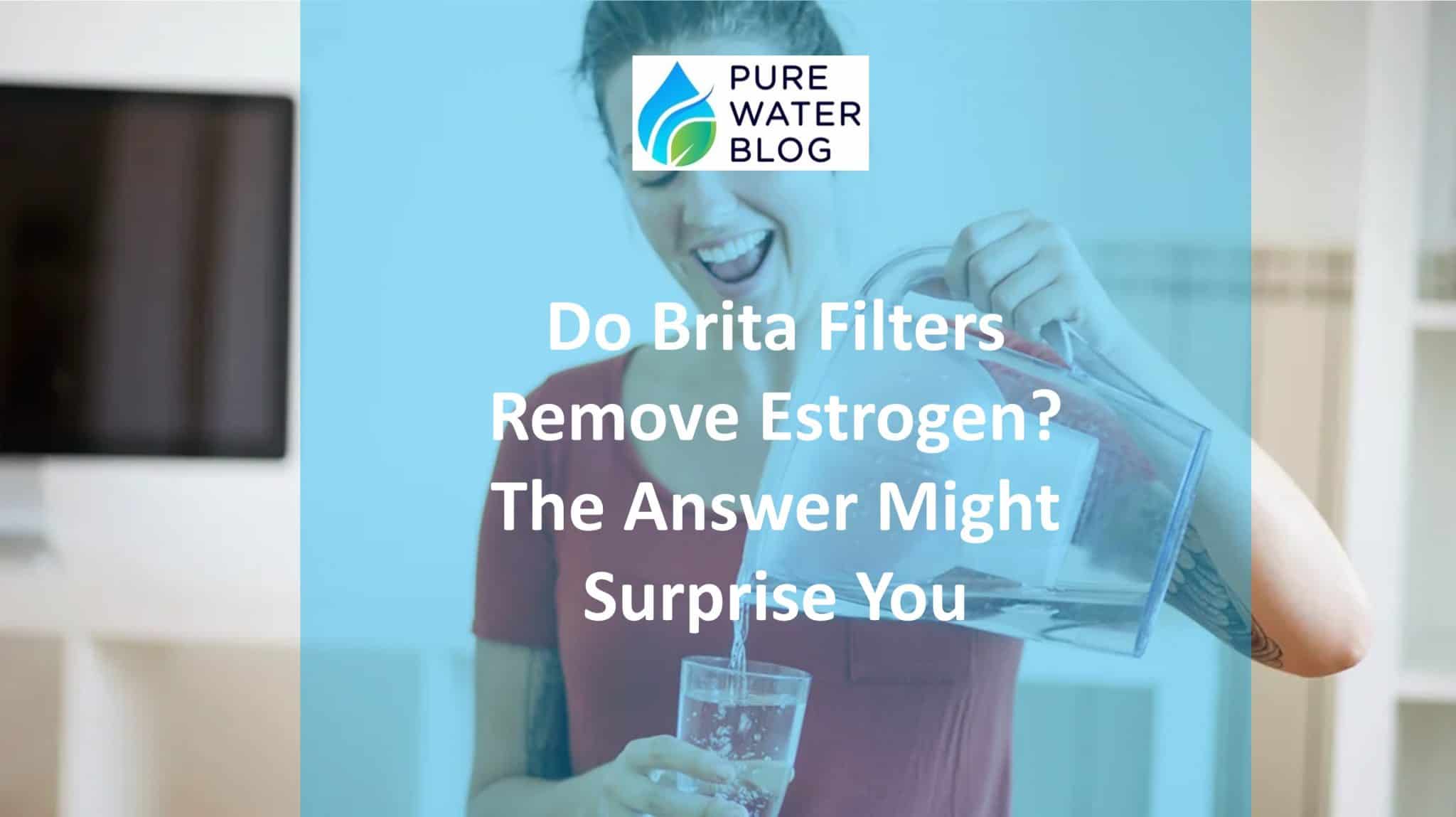 Do Brita Filters Remove Estrogen? The Answer Might Surprise You Water