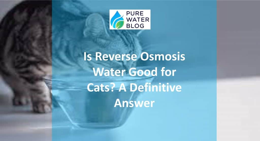 Is Reverse Osmosis Water Good for Cats? A Definitive Answer Water