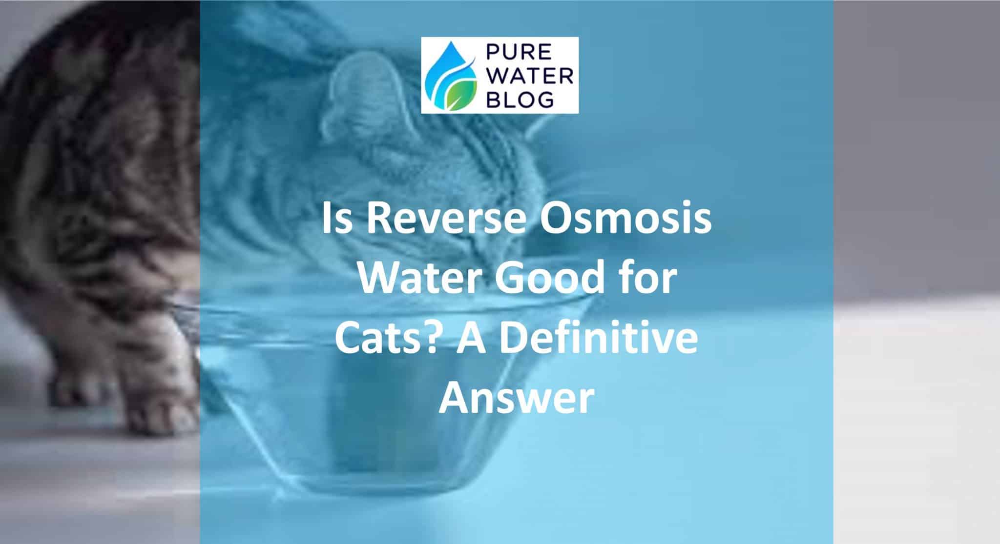 Is Reverse Osmosis Water Good for Cats? A Definitive Answer Water