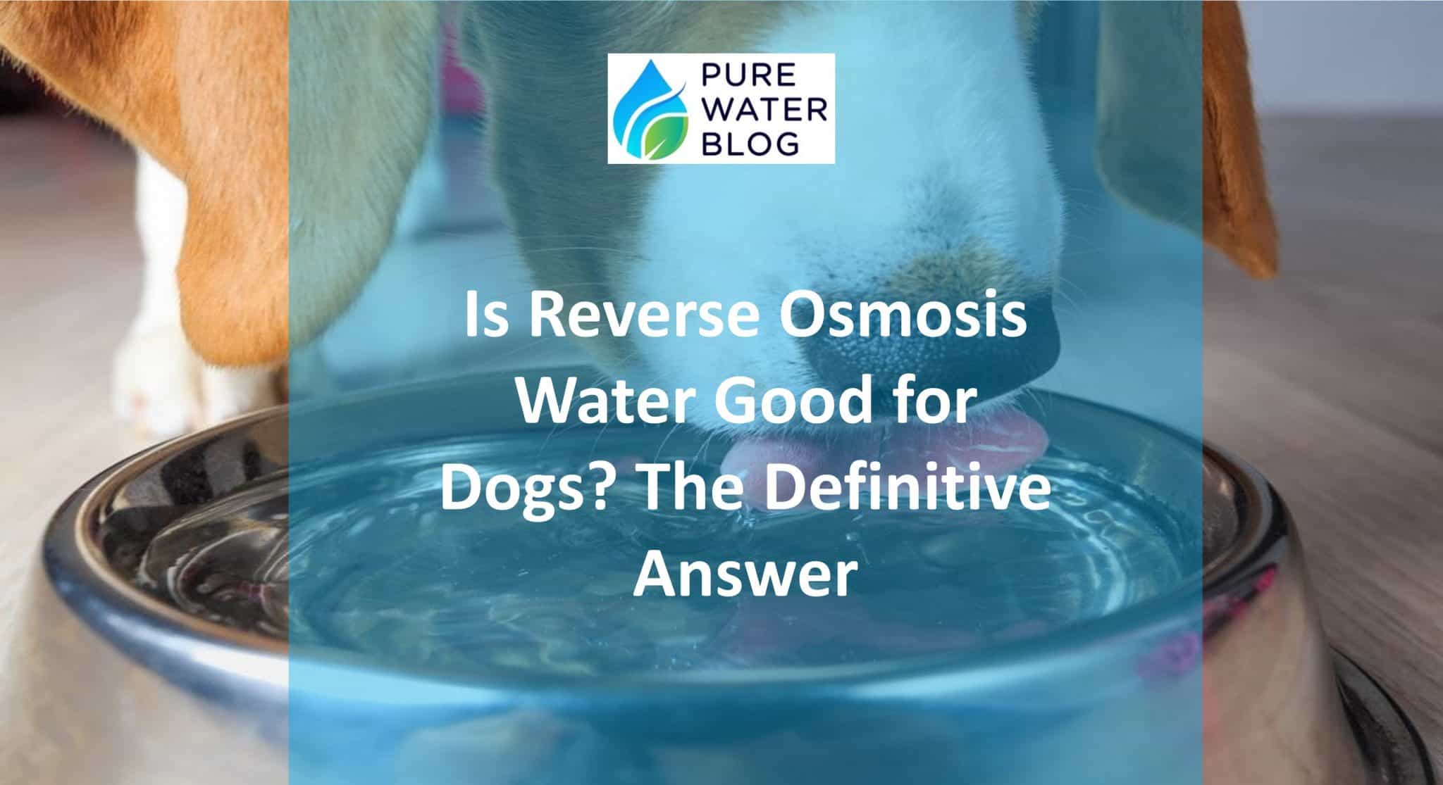 Is Reverse Osmosis Water Good for Dogs? The Definitive Answer Water