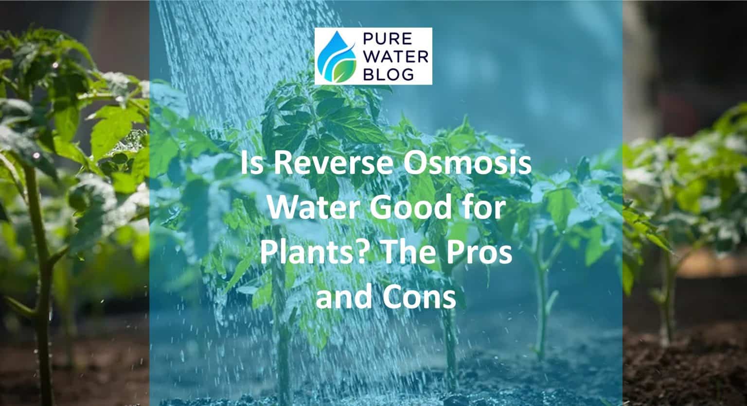 Is Reverse Osmosis Water Good for Plants? The Pros and Cons Water