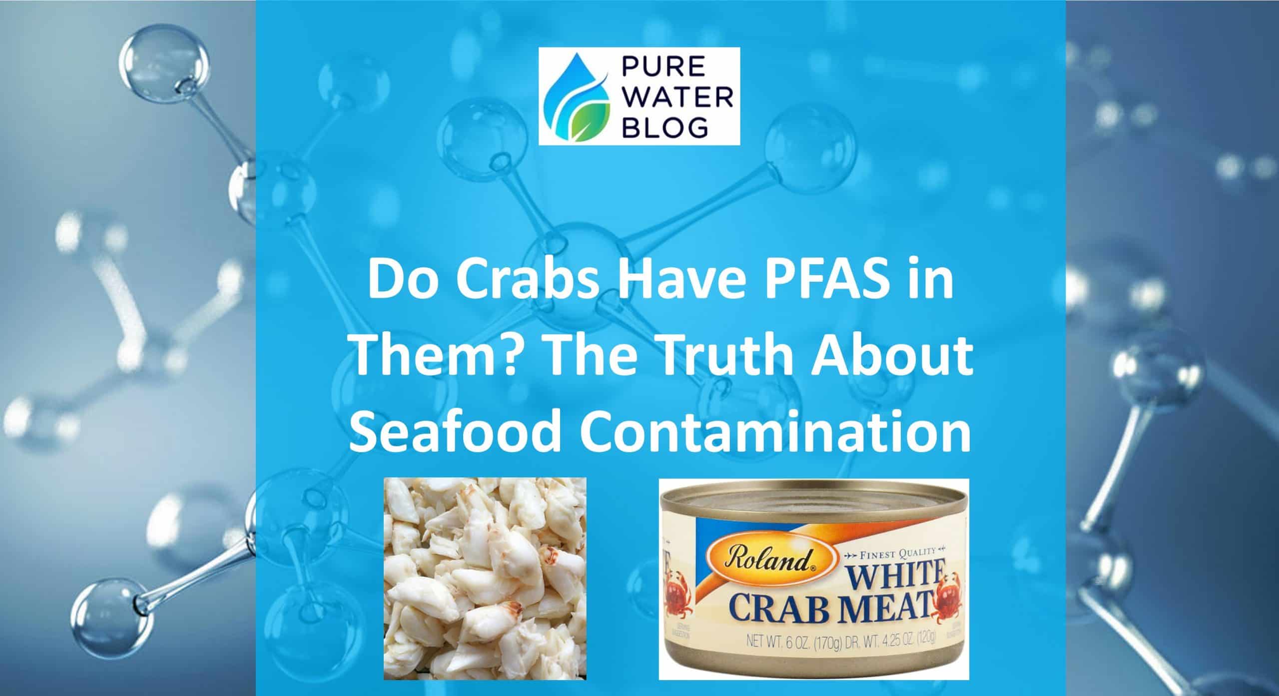 Do Crabs Have PFAS in Them? The Truth About Seafood Contamination