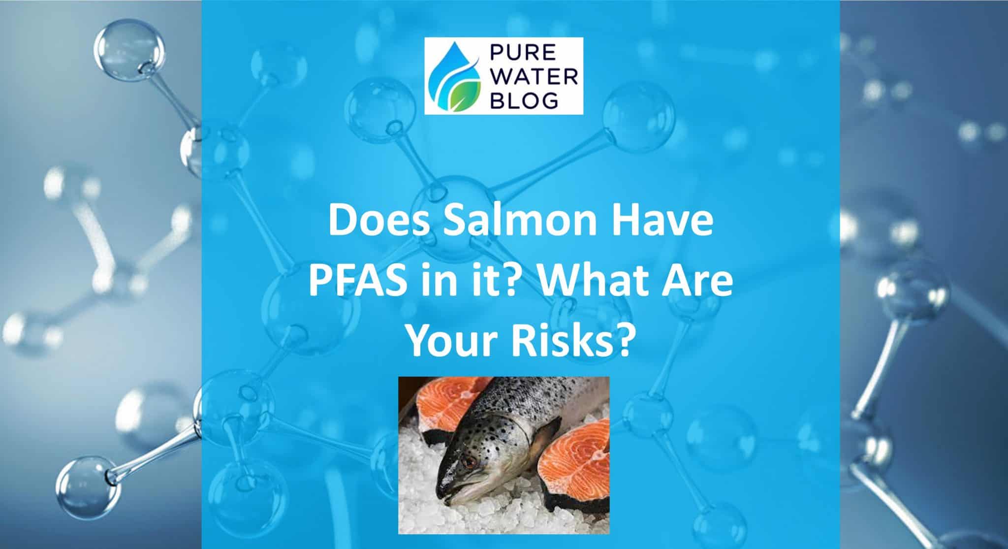 Does Salmon Have PFAS in it? What Are Your Risks? Water Treatment