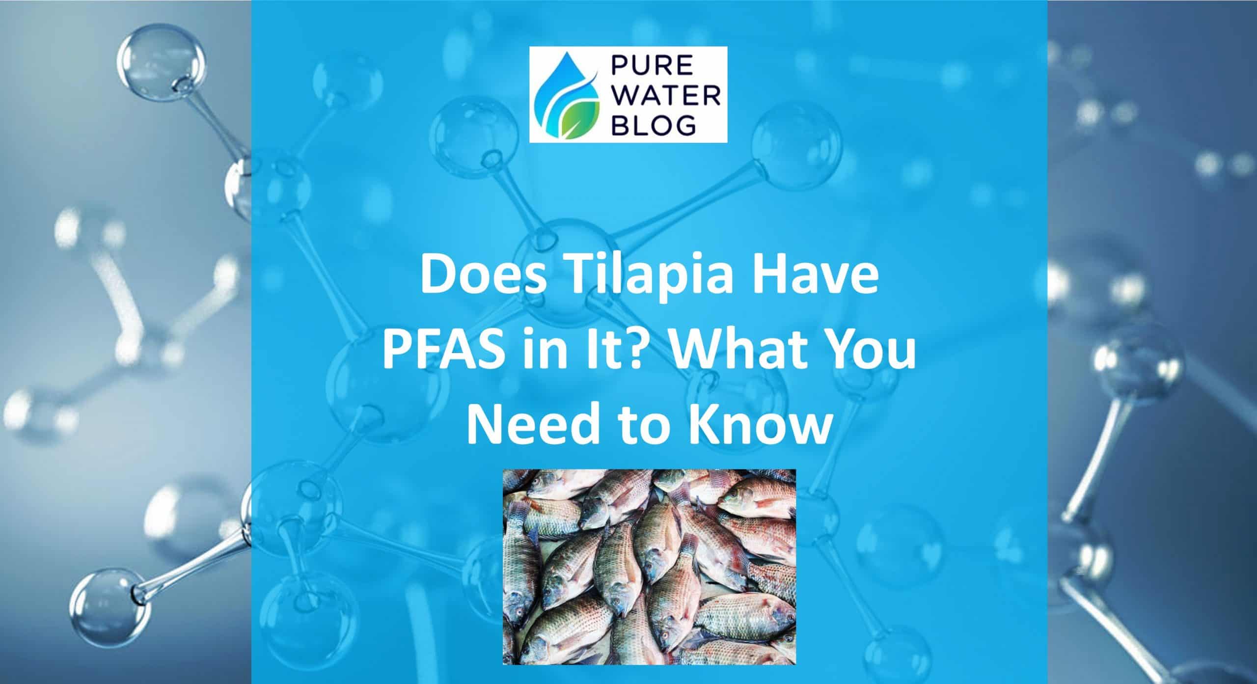 Does Tilapia Have PFAS in It? What You Need to Know