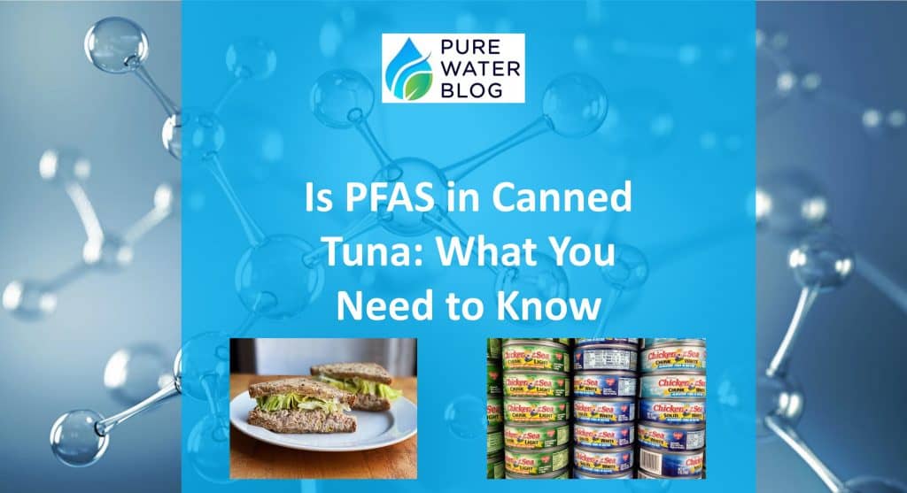 Is PFAS in Canned Tuna What You Need to Know Water Treatment