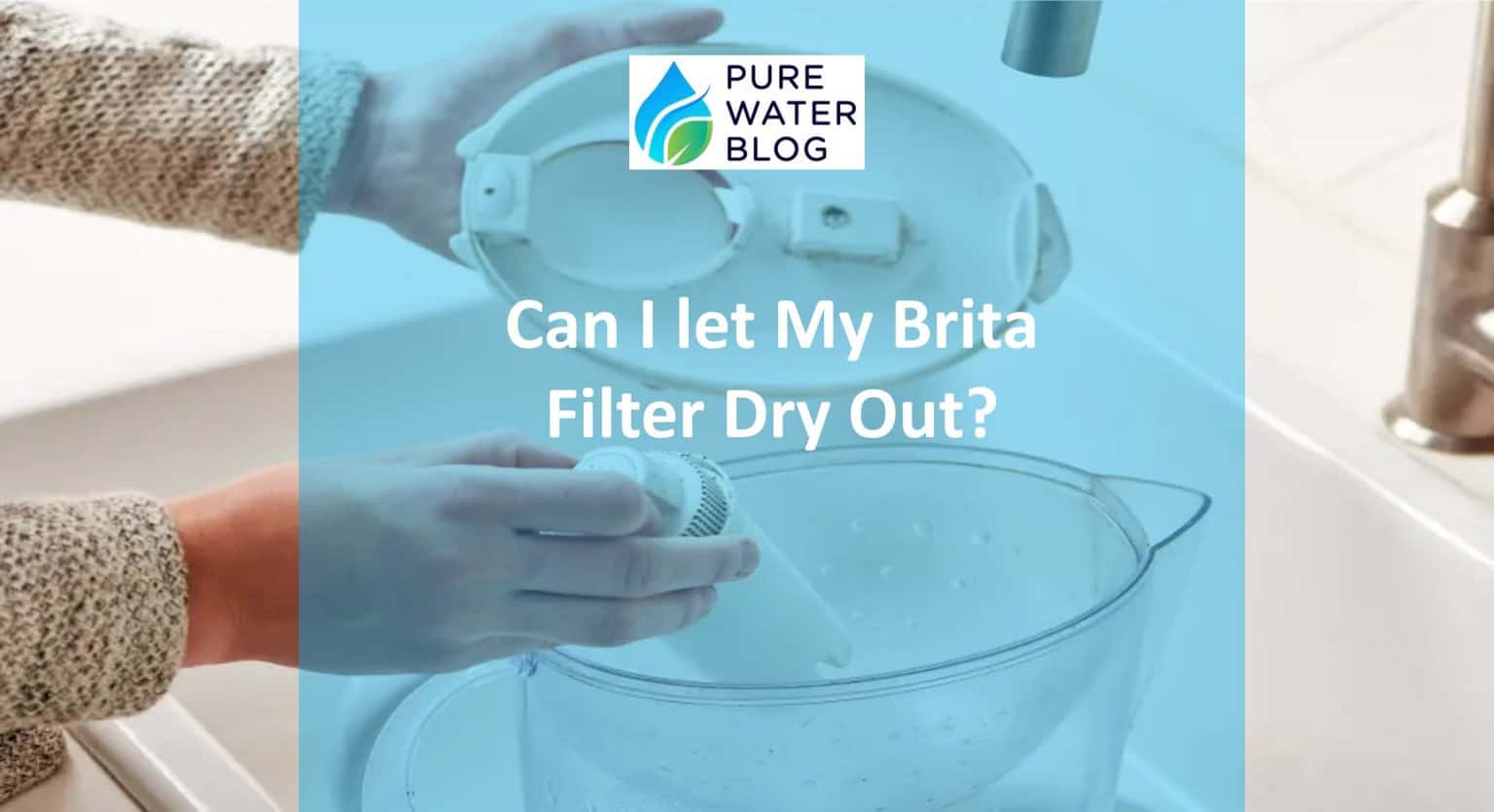 Can I Let My Brita Filter Dry Out? Water Treatment