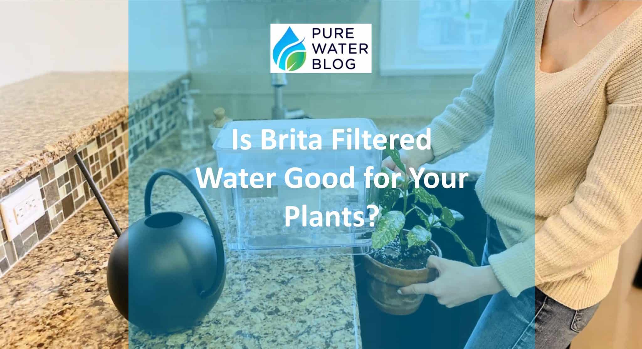 Is Brita Filtered Water Good for Your Plants? Water Treatment