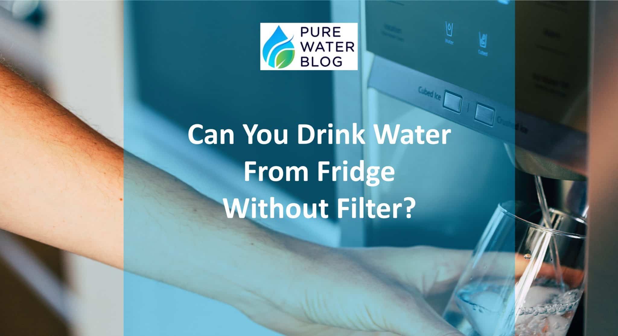 Can You Drink Water from Fridge Without Filter? Water Treatment