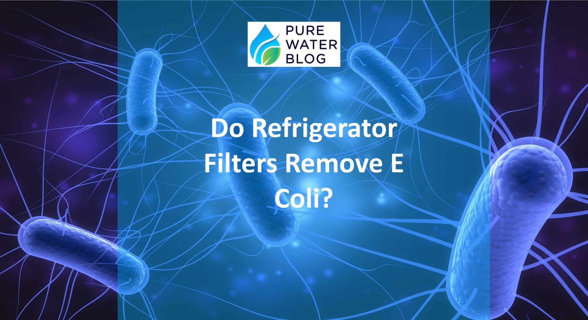 Do Refrigerator Filters Remove E Coli? Water Treatment