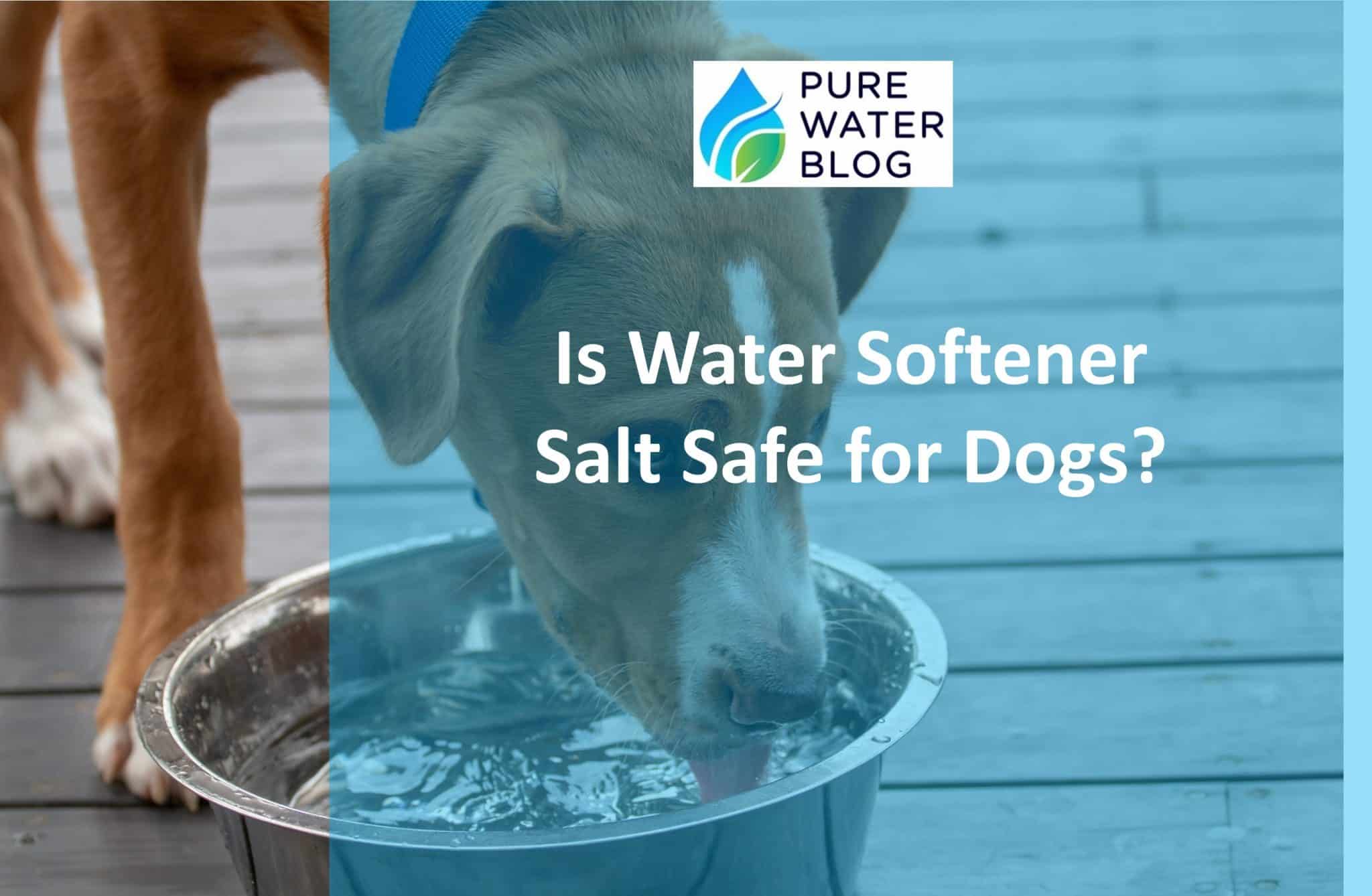 Is Water Softener Salt Safe for Dogs? Water Treatment