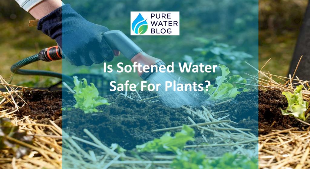 Is Softened Water Safe for Plants? Water Treatment