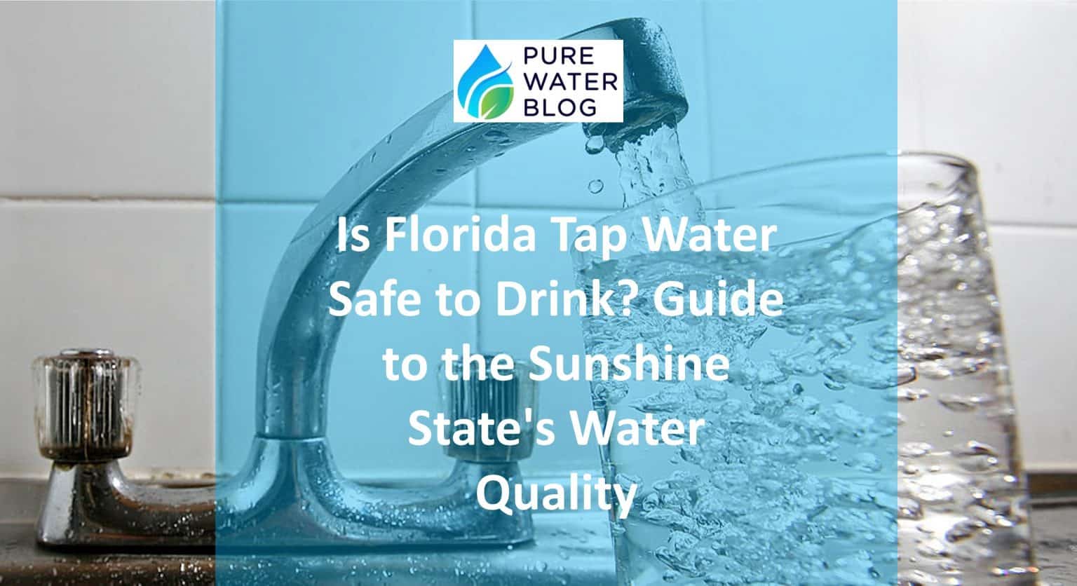 Is Florida Tap Water Safe to Drink? Guide to the Sunshine State’s Water