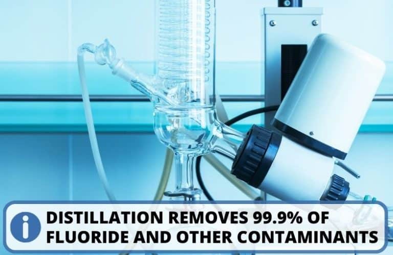 Does Distilled Water Have Fluoride? Yes Or No